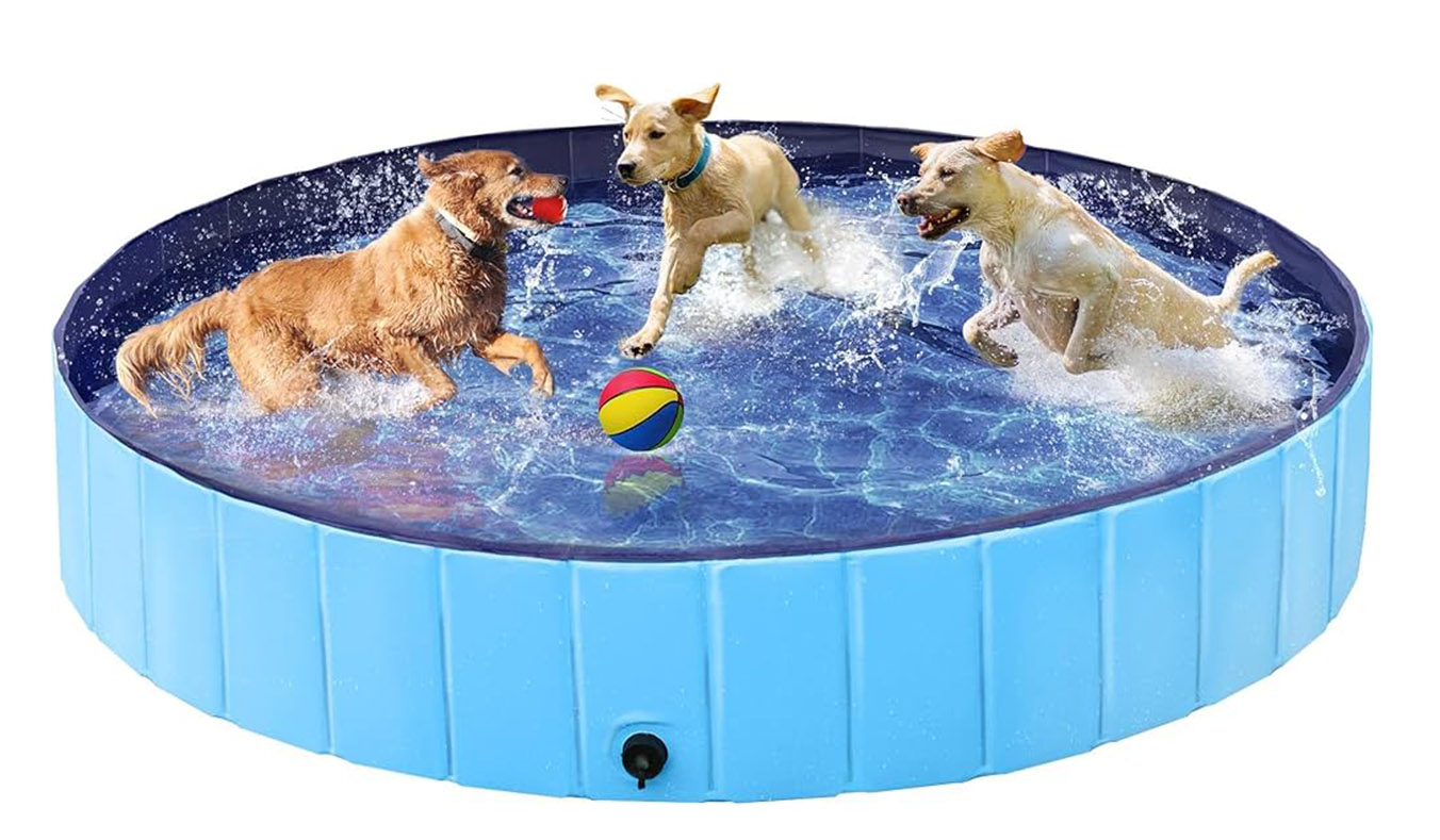 Treat Your Dog to a Pool This Summer!