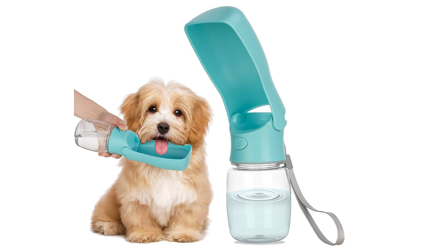 Essential Travel Gear for Dogs: The Best Water Bottles and Accessories for Adventurous Outings