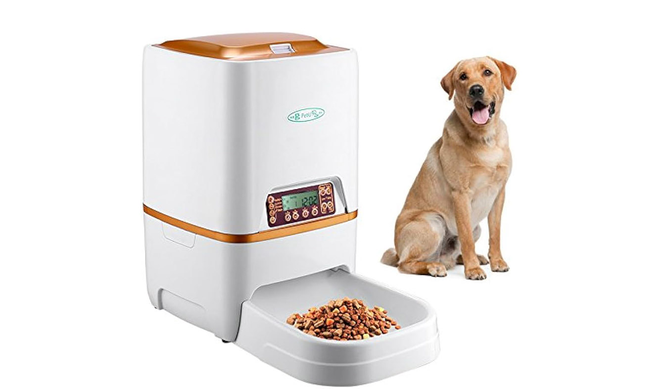 How to Choose the Right Automatic Feeder for Your Dog