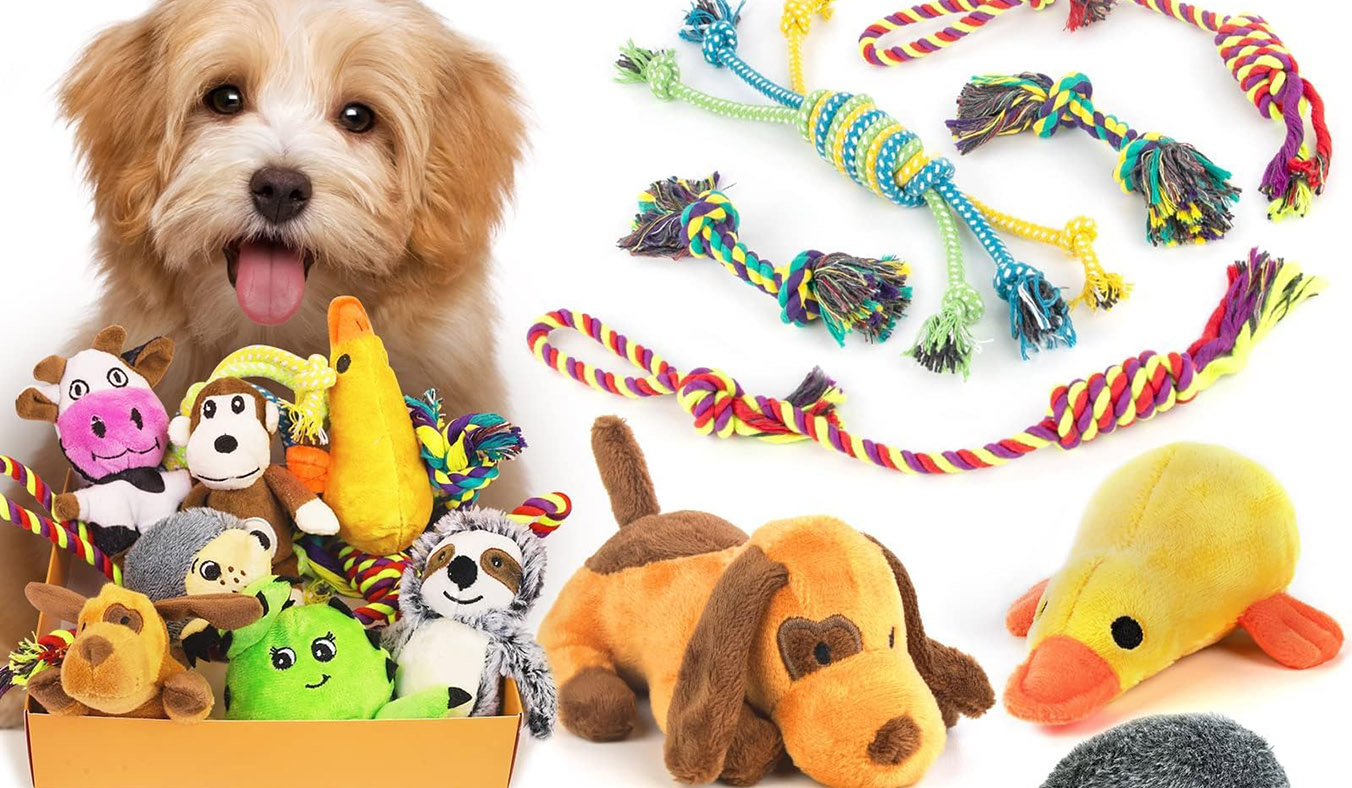 The Ultimate Guide to Dog Toys: Hours of Fun for Your Loyal Companion