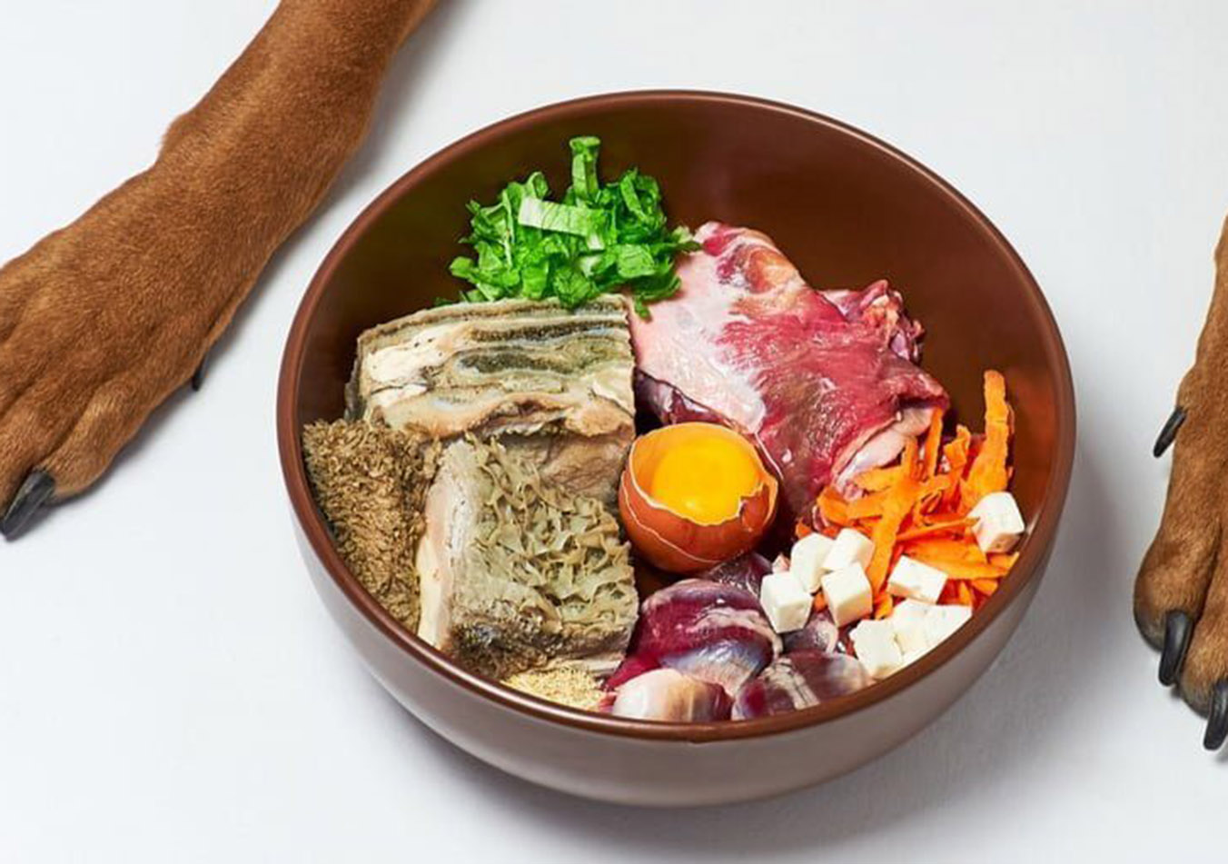 The BARF Diet for Your Dog: A Comprehensive Guide and Tips