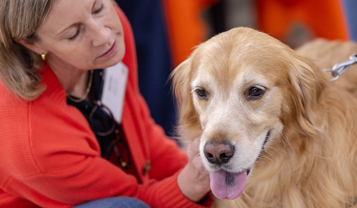 Do Cats and Dogs Get “Old Cold Legs” Too? Start Joint Care Today