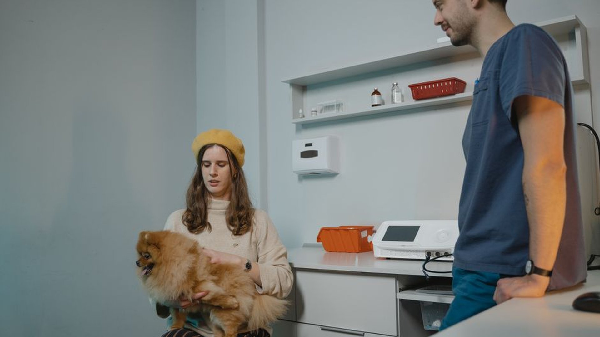 clinic exam room dog calm owner present treat chew