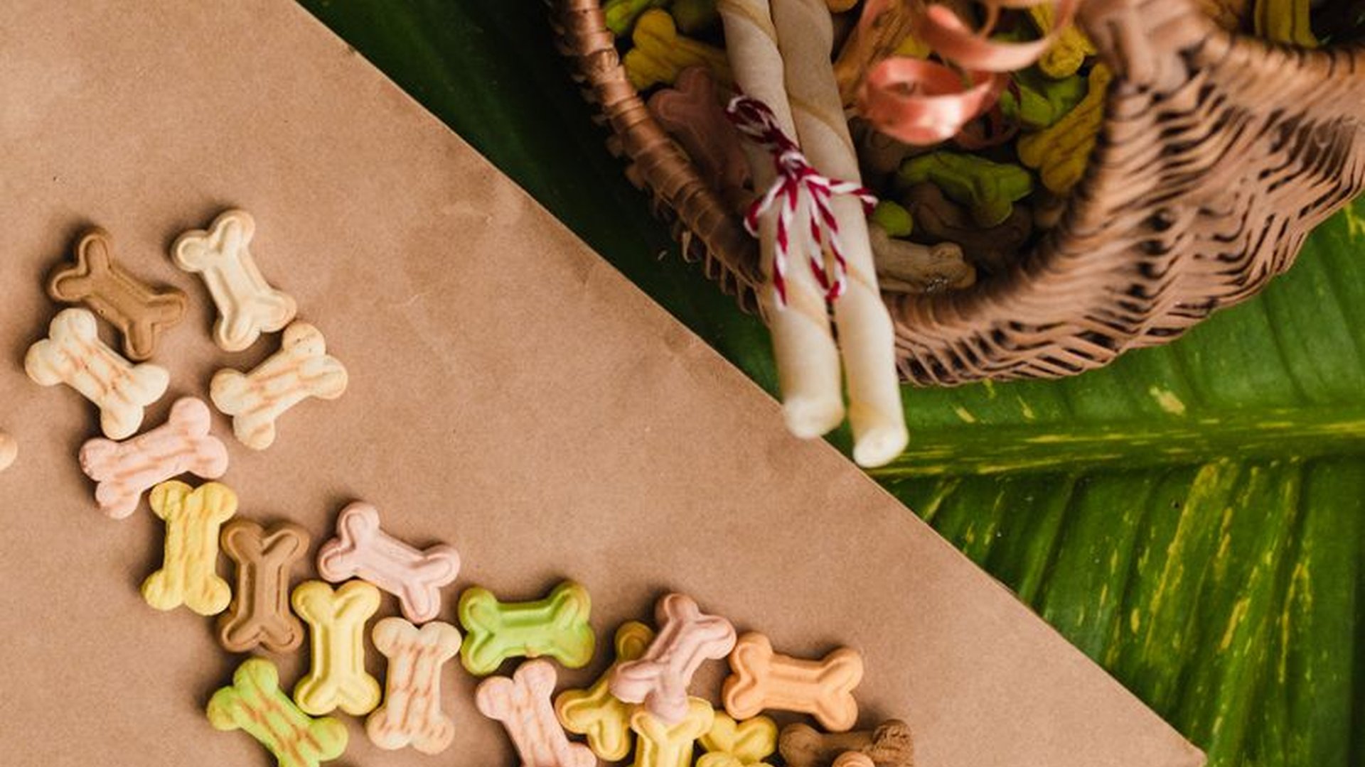 Chewy vs Crispy Treats: What’s Best for Dogs