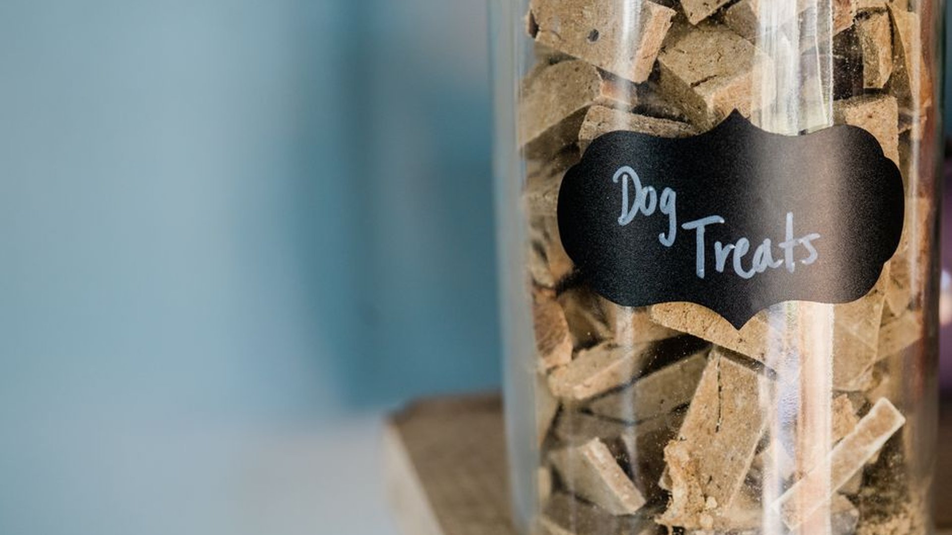 soft chewy dog treats kibble texture gentle snack