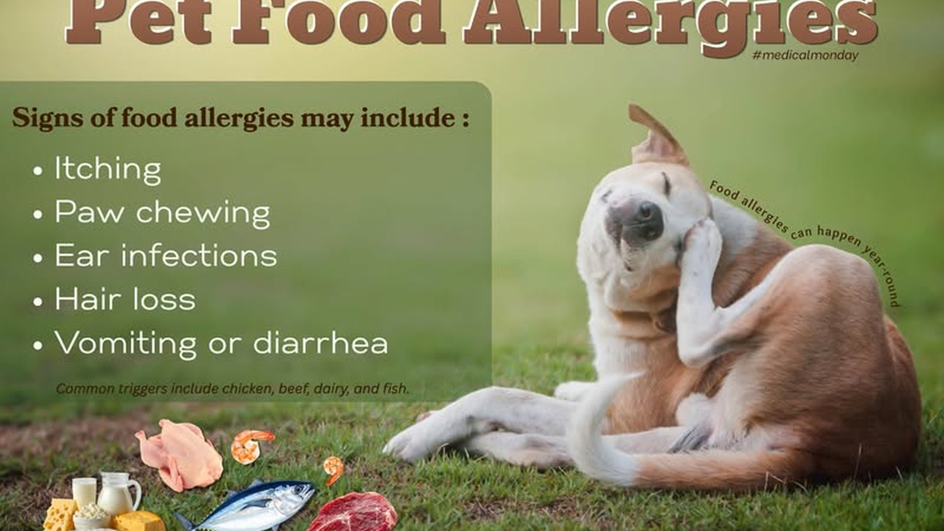 beef chicken dairy eggs fish protein allergen immu