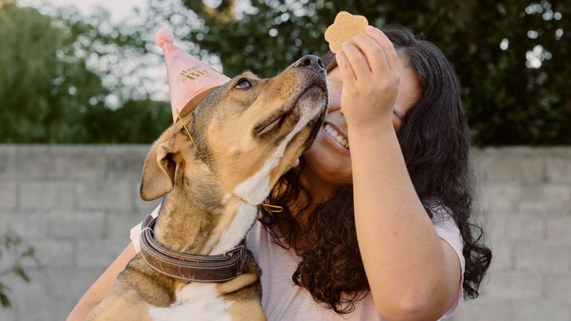 dog treats kibble energy balance weight management