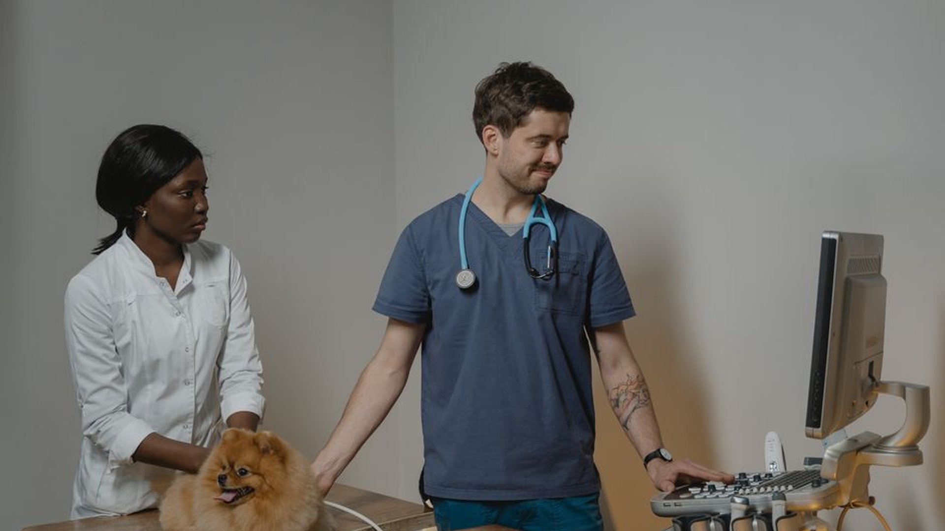 vet consultation dog weight chart treat guide week