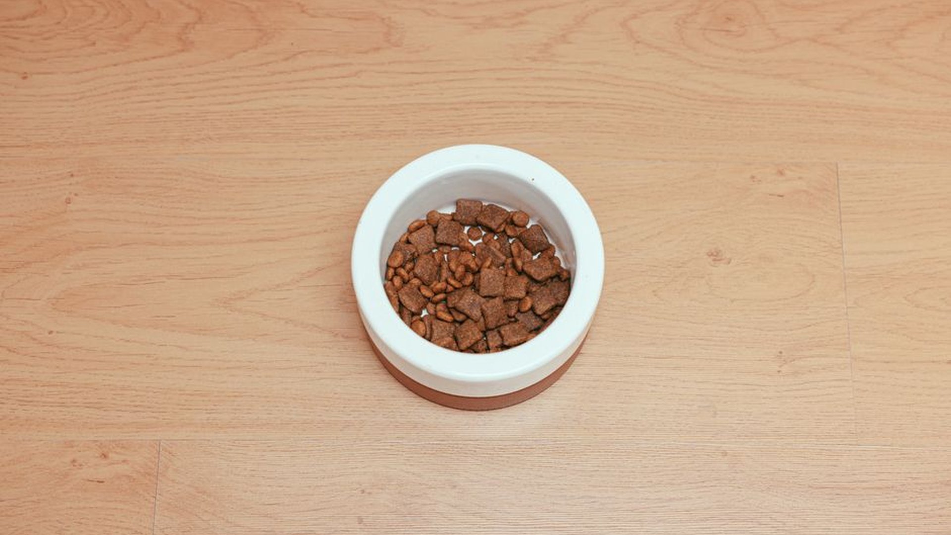 grain-free dog food label confusion dog owner re
